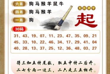 138期香港彩九肖30码中特